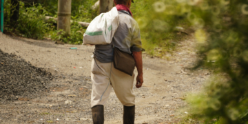 Programa motiva agricultores en Yucatán a no emigrar