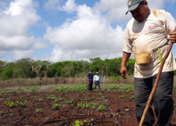 Proyecto de sustentabilidad en Yucatán es reconocido por la ONU