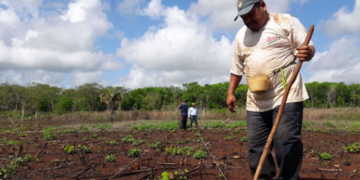 Proyecto de sustentabilidad en Yucatán es reconocido por la ONU