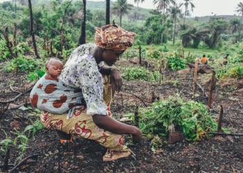Sustentabilidad a partir de la inclusión de agricultura familiar: ONU