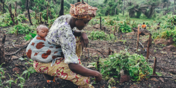 Sustentabilidad a partir de la inclusión de agricultura familiar: ONU
