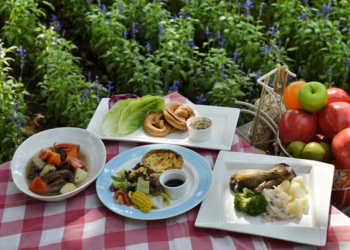 Apoyan producción de alimentos autosustentables