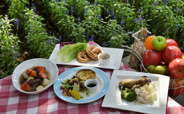 Apoyan producción de alimentos autosustentables