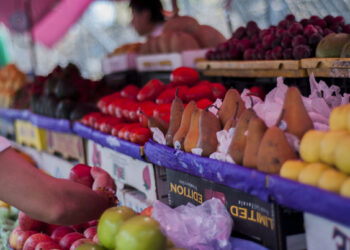 Buscan ampliar exportación de agroalimentos de México a Qatar