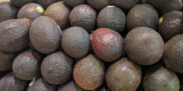 Cae 34% el volumen de exportación de aguacate