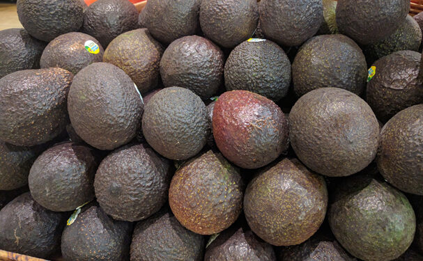 Cae 34% el volumen de exportación de aguacate