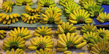 Calor afecta exportación de plátanos tailandeses de México