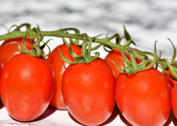 EEUU elimina arancel de 17.5% al jitomate mexicano