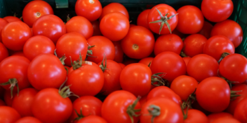 EUA pretende incrementar arancel al tomate de 17.5% a 25.28%