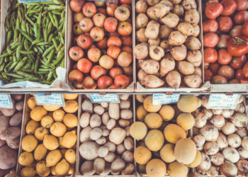 Exportaciones agroalimentarias registran el valor más alto en 27 años