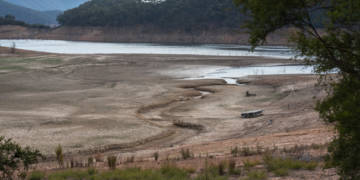 Presas y agricultura de Zacatecas están afectadas por la sequía