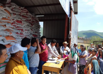 Programa de fertilizantes supera expectativas de apoyos en Guerrero