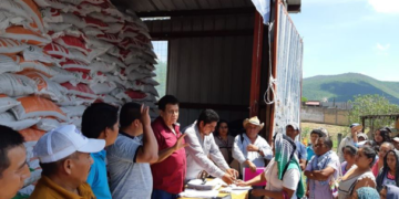 Programa de fertilizantes supera expectativas de apoyos en Guerrero