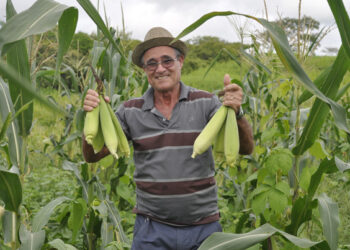 Prácticas sustentables para sembrar mejor y en menos tiempo