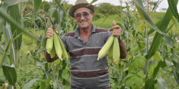 Prácticas sustentables para sembrar mejor y en menos tiempo