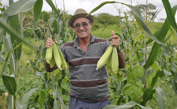 Prácticas sustentables para sembrar mejor y en menos tiempo