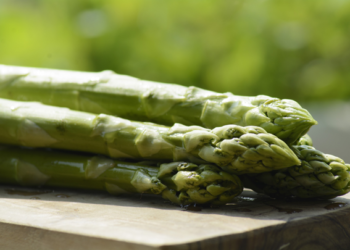 Salamanca registra pérdidas del 50% en cultivo de espárrago