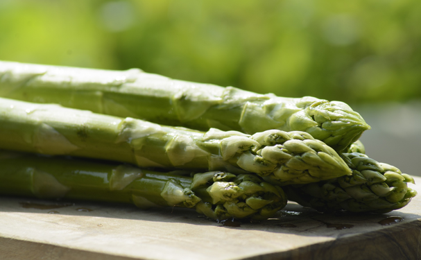 Salamanca registra pérdidas del 50% en cultivo de espárrago