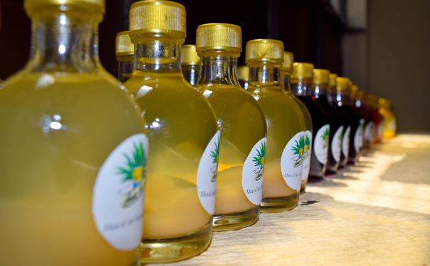 Ventas de mezcal se quintuplican a nivel mundial