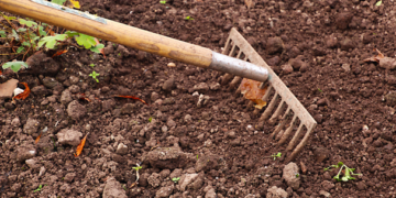 Encapsulado de fertilizantes eleva hasta 90% la eficiencia en cultivos