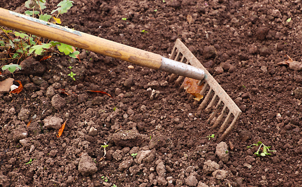 Encapsulado de fertilizantes eleva hasta 90% la eficiencia en cultivos