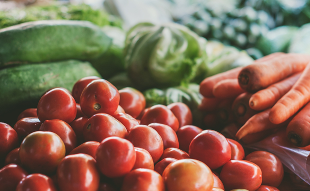 Estiman crecimiento de 1.7% en sector agrícola