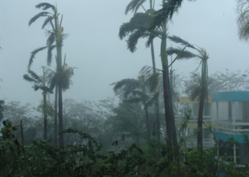 Evalúan daños de huracán “Lorena” a cultivos en Jalisco y Colima