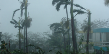 Evalúan daños de huracán “Lorena” a cultivos en Jalisco y Colima