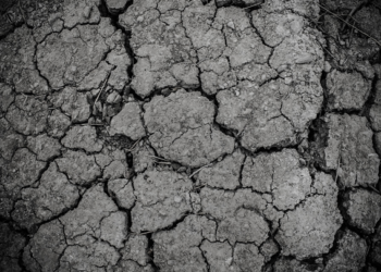 México desarrolla modelo para detener la degradación de suelos