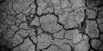 México desarrolla modelo para detener la degradación de suelos