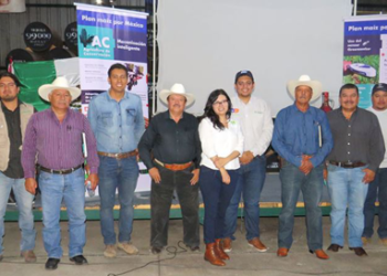 Plan Maíz por México, a favor de la producción sustentable de granos