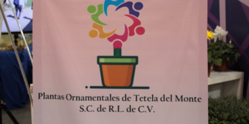 Plántulas de Tetela del Monte, colectivo impulsor de plantas de ornato