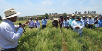 Reconocen a MasAgro a nivel internacional