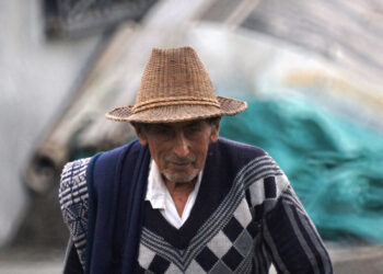 Se deben cerrar brechas de desigualdad en el campo: Sader