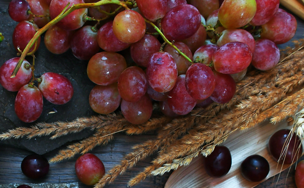 Abren nuevos mercados de exportación para el trigo y uva de mesa