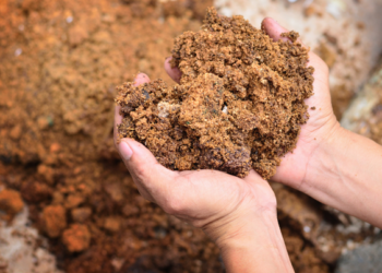 Argentina busca avanzar con el uso de bioinsumos
