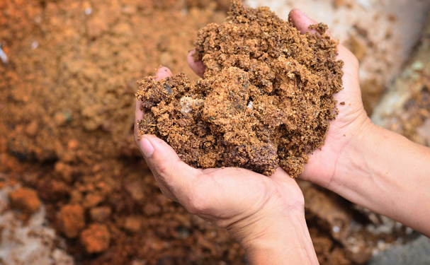 Argentina busca avanzar con el uso de bioinsumos