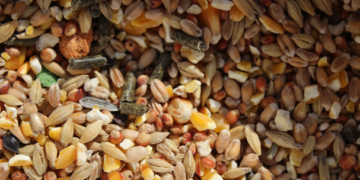 Bajan importaciones de maíz, trigo y frijol; crecen las de soya y sorgo