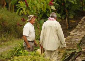 Buscan favorecer el comercio de la agricultura familiar en Oaxaca