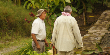 Buscan favorecer el comercio de la agricultura familiar en Oaxaca