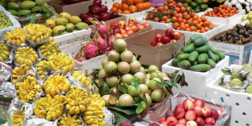 Coliman aumenta su oferta de frutas tropicales hacia el extranjero