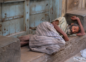 Desperdicios alimentarían a 820 millones de personas: ONU