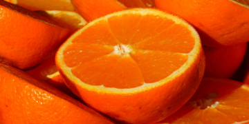 En picada, producción de naranja en municipio quintanarroense