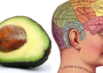 Insecticida usado en aguacate podría causar Parkinson