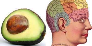 Insecticida usado en aguacate podría causar Parkinson