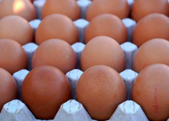 México, cuarto productor mundial de huevo
