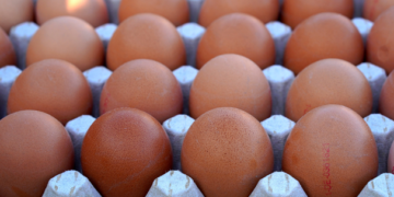 México, cuarto productor mundial de huevo