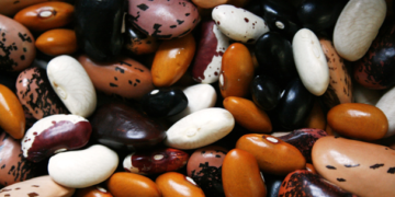 Producción de frijol podría caer 83.4% en Durango