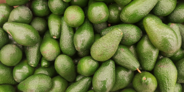 Productores enfrentan problemas al cubrir alta demanda de aguacates