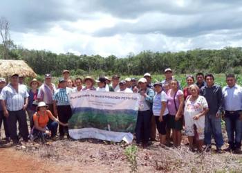 Productores usan rastrojo para mejorar la productividad en milpas